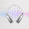 Max1x1 AirPods Max Headphone